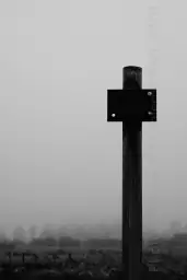 'Schild im Nebel' in a higher resolution